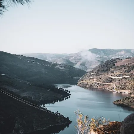 Original Douro