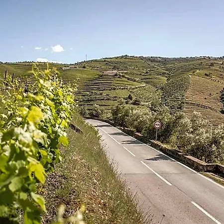 Original Douro
