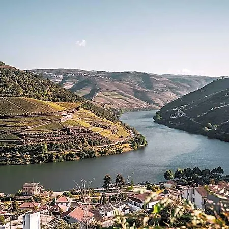 Original Douro